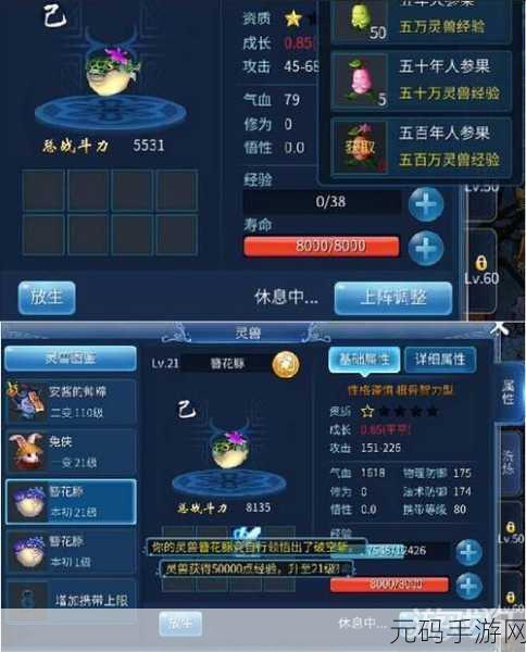 倩女幽魂手游鉴定技能全解析，解锁战斗新境界