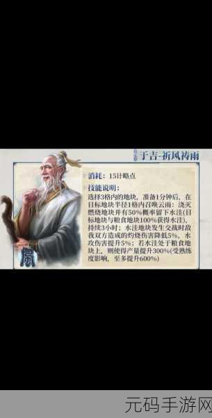 三国志战略版军师技能深度解析，实战策略，智谋引领战场新风尚