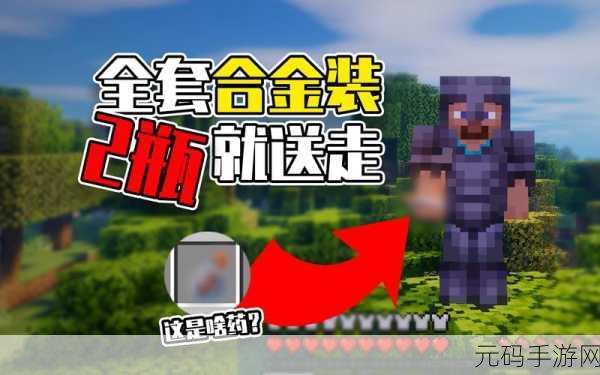 我的世界手游，揭秘下界维度，探索无尽奥秘