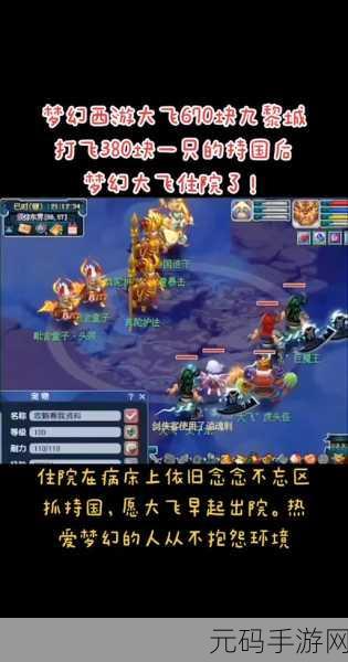 梦幻西游牧场养老虎,投资与回报的深度剖析
