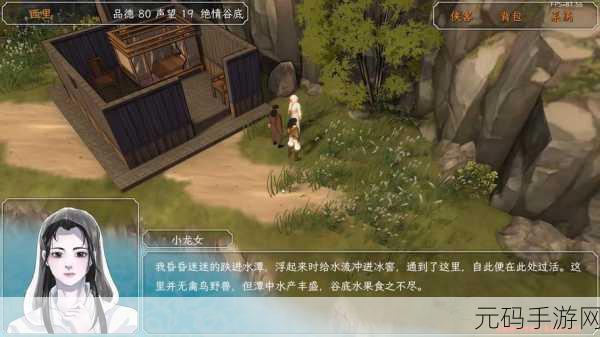 神雕侠侣手游70级卡顿解决全攻略，畅享武侠世界的流畅之旅