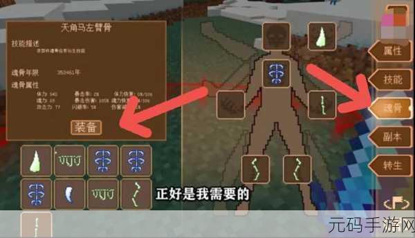 我的世界探秘,揭秘骨头的获取方式与用途