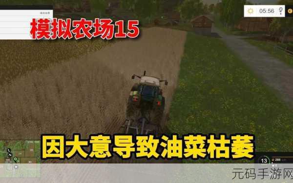 模拟农场25油菜种植全攻略，解锁高效收益之道