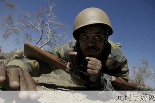列王的纷争中期士兵训练深度解析,士兵成长路径与技能提升策略