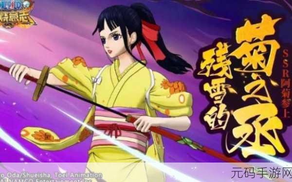 航海王，燃烧意志SSR阿菊——实力与忠义并存的剑士登场