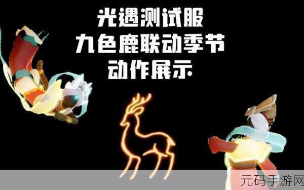 光遇，解锁炫酷动作，探索无限游戏世界