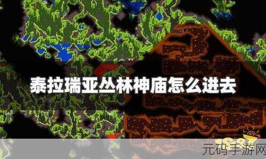 泰拉瑞亚手游新揭秘,丛林蜥蜴祭坛召唤秘法全面解析