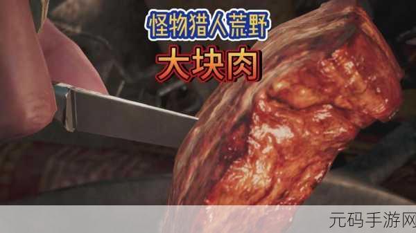 怪物猎人,荒野烤肉秘籍大公开,从猎场到餐桌的味觉之旅