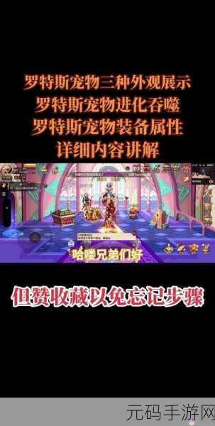 DNF手游宠物系统大揭秘,萌动心弦,战力飙升的神秘伙伴来袭