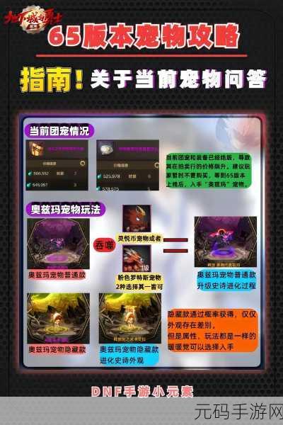 DNF手游宠物洗炼材料获取全攻略