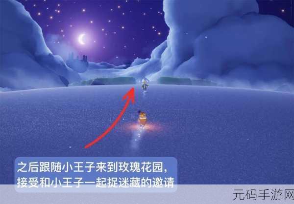 光遇雨林小王子季任务，一场寻梦之旅的深度解析