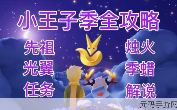 光遇雨林小王子季任务,一场寻梦之旅的深度解析