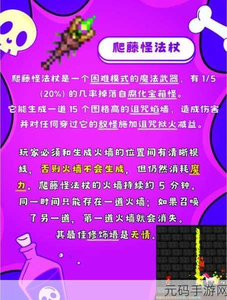 泰拉瑞亚探险指南,揭秘丛林孢子的藏身之处