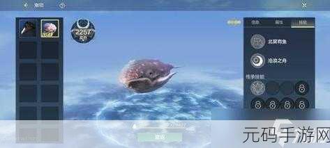 妄想山海岳云鲲星球探索指南,揭秘手游新版本中的奇幻之旅