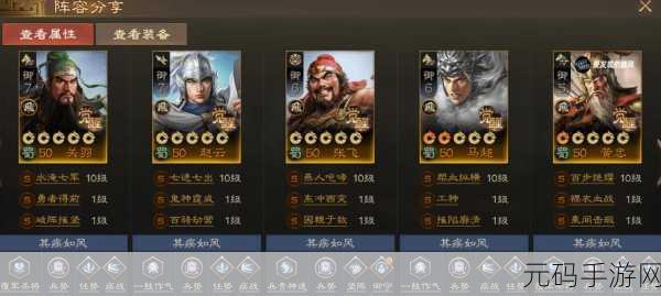 赵云为核心阵容搭配策略,单红将双红将灵活组合深度解析