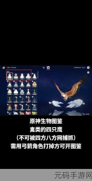 原神玩家奇遇珍稀鸟类，开启梦幻探险新篇章