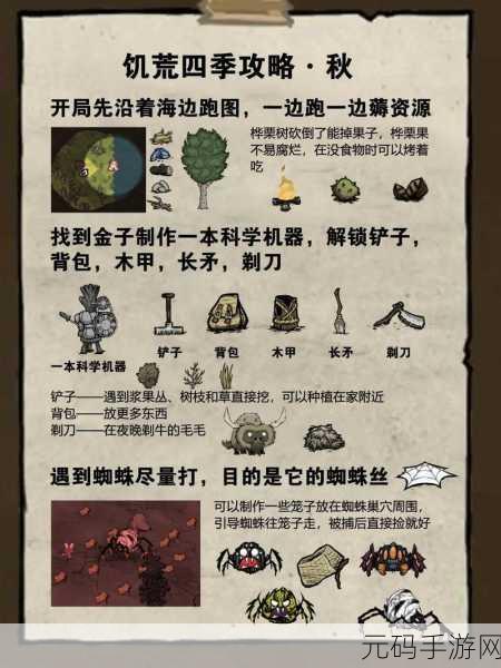 饥荒考拉象生存策略全面指南，资源管理、高效利用与零浪费技巧深度解析
