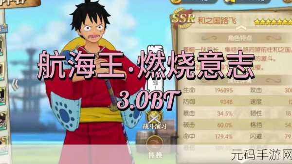 航海王燃烧意志小y4服，勇者的新航程——版本更新与活动盛宴