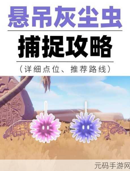心动小镇潮流季奇灵夜，粉粉悬吊灰尘虫高效获取新攻略全解析