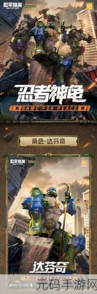 泰拉瑞亚忍者神龟套装，获取途径与价值深度剖析