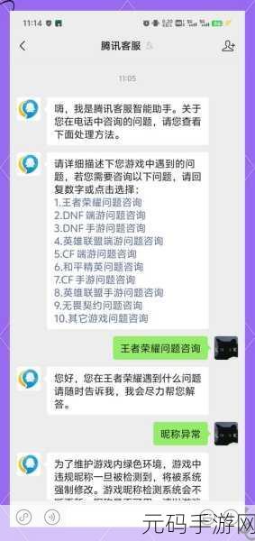 王者荣耀新举措,轻松关闭付费功能,打造更纯粹游戏体验