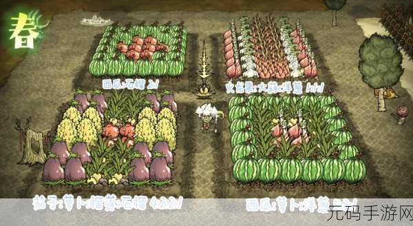 饥荒手游四季巨大作物种植全攻略，解锁丰收秘籍与技巧