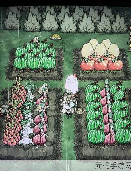 饥荒手游四季巨大作物种植全攻略,解锁丰收秘籍与技巧