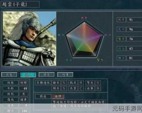 三国志11威力加强版新解读,精准洞察武将兵科适应性策略揭秘