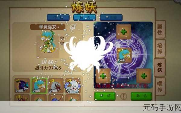 造梦西游OL宠物技能等级详解，从入门到精通的全方位指南