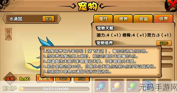 造梦西游OL宠物技能等级详解，从入门到精通的全方位指南
