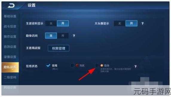 王者荣耀新玩法揭秘，隐身观战功能全面解析