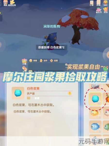摩尔庄园手游资讯，轻松掌握云朵之翼的摘取技巧