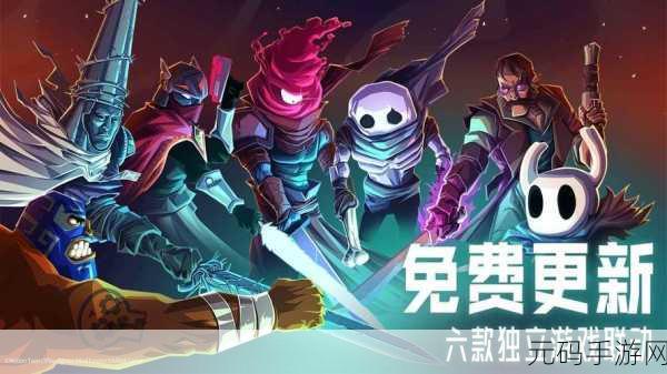 重生细胞王后与海路线全面深度解析，探索未知海域的冒险之旅
