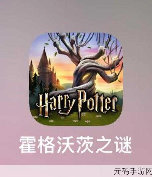 哈利·波特，魔法传奇手游新版本震撼发布，探索霍格沃茨未解之谜