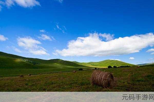 剑灵手游资讯，越石刷取大揭秘，草原攻略深度解析