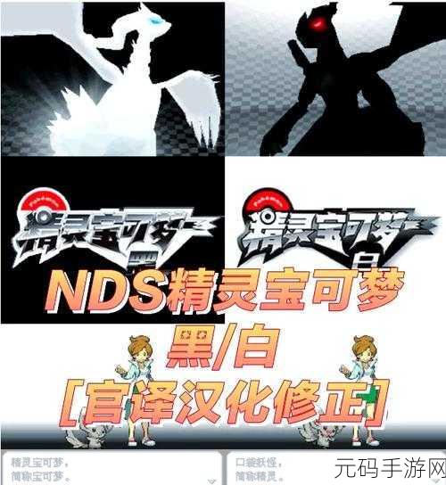 口袋妖怪白2暗黑球，暗夜神秘力量震撼来袭——全新版本更新深度解析