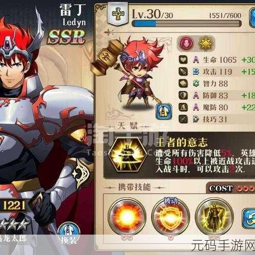 梦幻模拟战深度攻略,冥府渡神搭配技巧与雷丁角色毕业装备全面解析