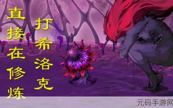 DNF修炼场沙袋设置指南，全面解析与实战应用