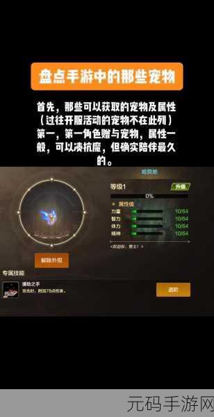 DNF手游宠物装备获取全攻略,详解哪套装送宠物装备