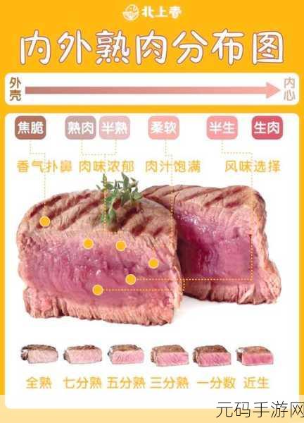 手游资讯,探索创造与魔法中的牛排烹饪艺术新版本深度解析