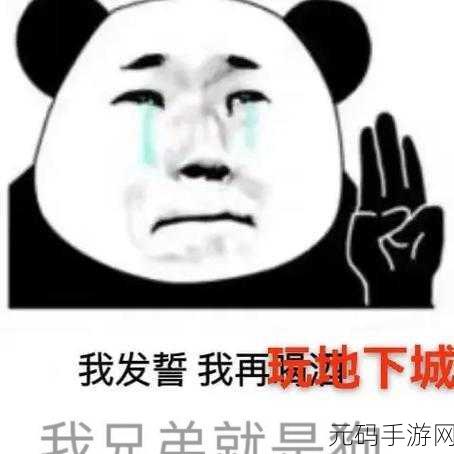 DNF游戏特色表情符号,探索游戏内的趣味表达