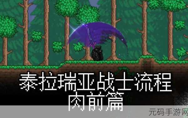 泰拉瑞亚战士存档更新深度解析，冒险之旅新篇章即将开启