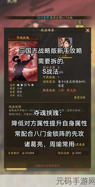 三国志大战M新版攻略，掌握新策略与技巧，登顶顶尖战斗玩家之列