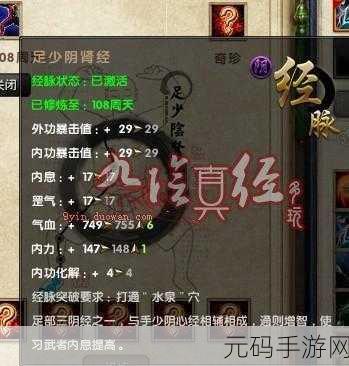 九阴真经3D新揭秘,极乐谷门派深度攻略与最新技能介绍速递