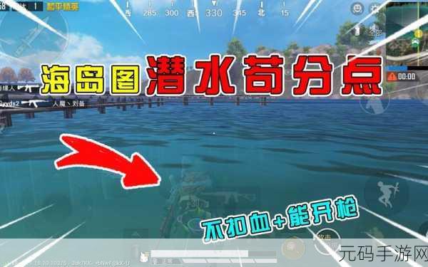 和平精英海岛地图苟分技巧全面解析,助你高效提升段位