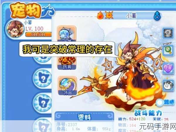 洛克王国悠闲一夏鸭,技能搭配攻略与获取方法全解析