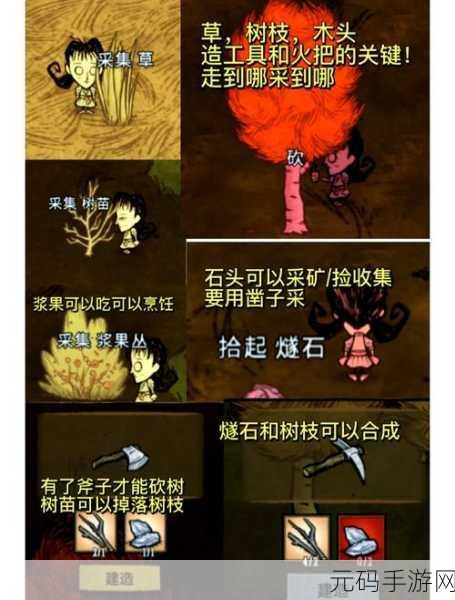 饥荒手游，松果的多样妙用与高效资源管理策略深度解析