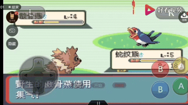 口袋妖怪蛇纹木道具，探险者的新篇章震撼开启
