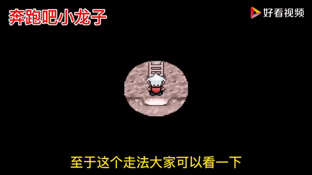 口袋妖怪蛇纹木道具，探险者的新篇章震撼开启