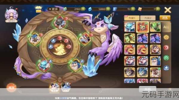 龙之国物语舞者宠物选择推荐及最佳搭配深度解析